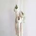 Handwoven Plant Hangers (pack of 3)